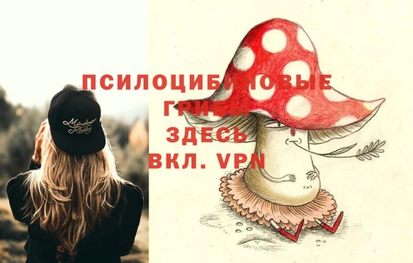 экстази Липки