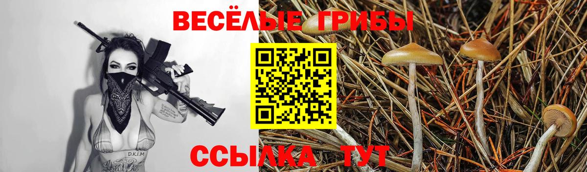 Галлюциногенные грибы Cubensis  Вход с VPN  Галлюциногенные грибы ЛСД  Комсомольск-на-Амуре 