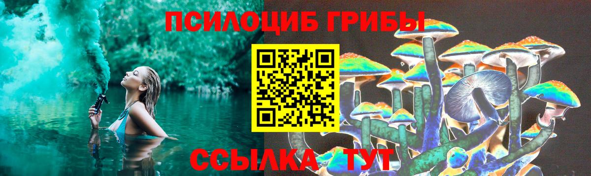 Псилоцибиновые грибы Cubensis Комсомольск-на-Амуре